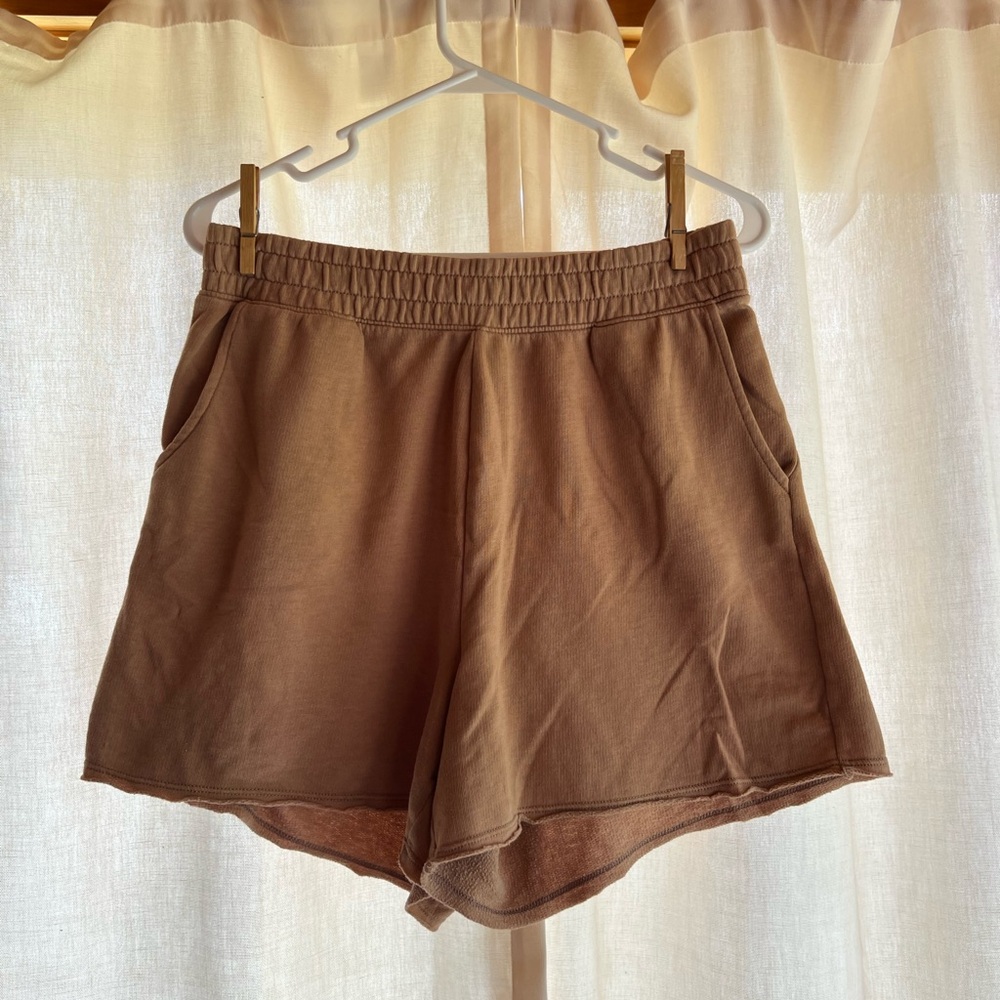 American Eagle Outfitters Brown Athletic Shorts